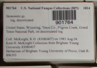 Image Associated With the Occurence